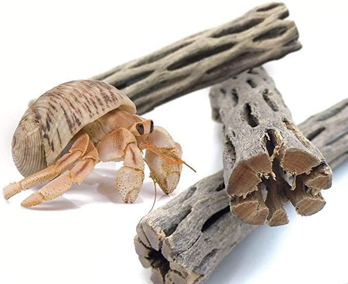 SunGrow Hermit Crab Woods, Climbing Logs, Keep Hermies Busy and Active - Image 2