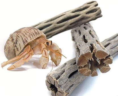 SunGrow Hermit Crab Woods, Climbing Logs, Keep Hermies Busy and Active - Image 2