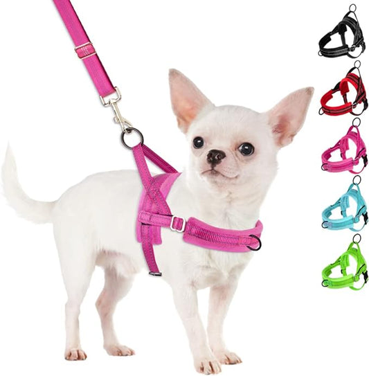 SlowTon No Pull Small Dog Harness and Leash Set, Puppy Soft Vest Harness Neck & by SlowTon