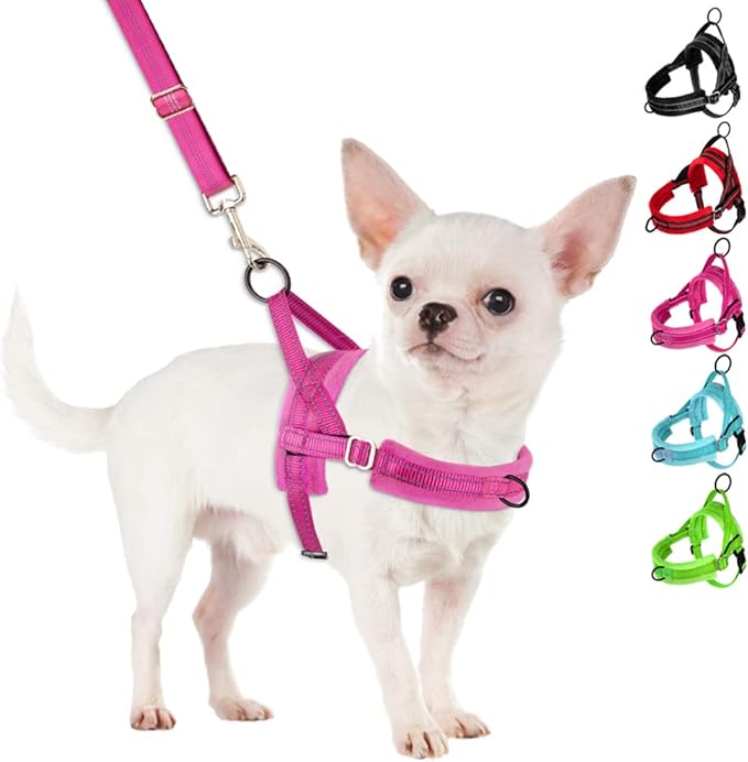 SlowTon No Pull Small Dog Harness and Leash Set, Puppy Soft Vest Harness Neck & by SlowTon