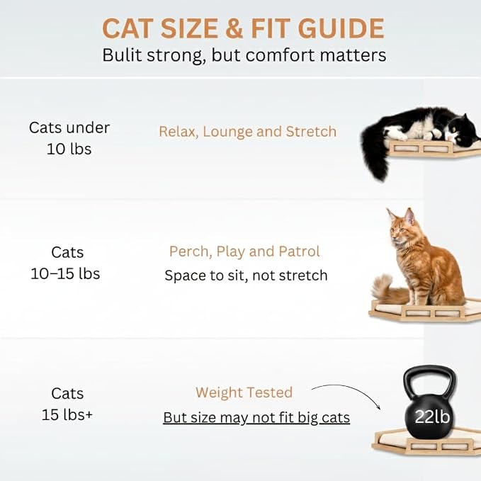 INICIO Cat Wall Shelves - Image 5