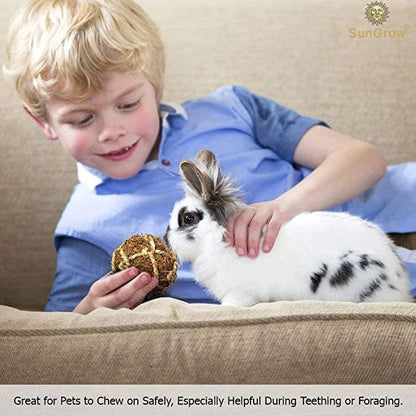 SunGrow Assorted Rabbit & Cat Chew Balls, Teething Activity Toy - Image 3