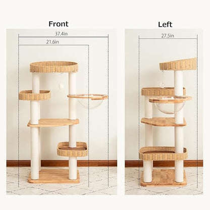 48'' Cat Tree for Large Cats, Modern Cat Tree Multi-Level Condo - Image 2