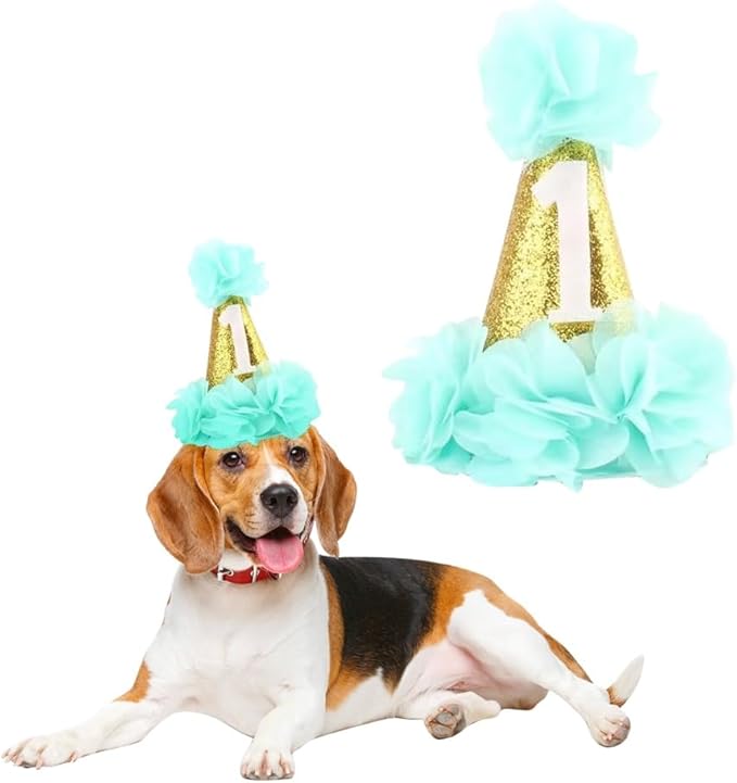 Stock Show 1st Pet Birthday Cone Hat Dogs Cats Holiday Party Hat Headwear by Unknown