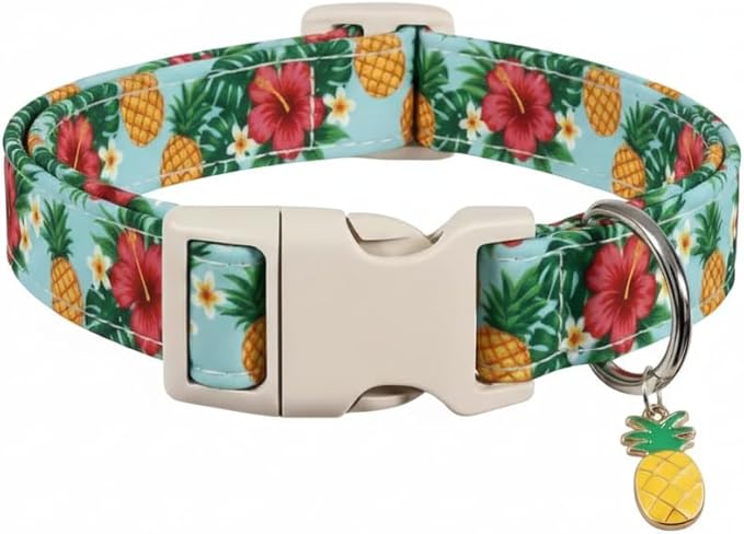 Summer Dog Collar with Tropical Pattern, Cute Dog Collar by Britwicfr