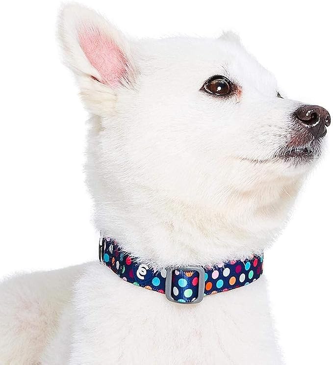 Blueberry Pet Essentials Rainbow Polka Dots Adjustable Dog Collar, Neck 12"-16" - Image 3