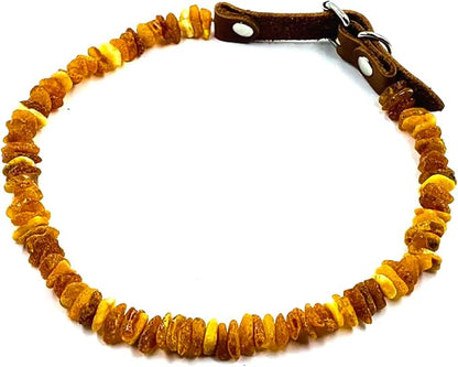 Baltic Amber Dog & Cat Collar - Image 8