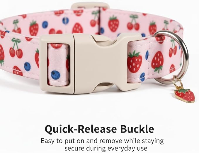 Girl Dog Collar, Cute Dog Collar - Image 4