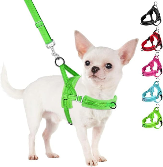 SlowTon No Pull Small Dog Harness and Leash Set, Puppy Soft Vest Harness Neck & by SlowTon