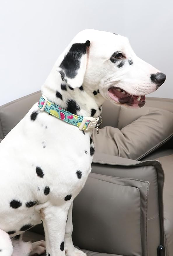 DOGWONG Cotton Dog Collar - Image 5