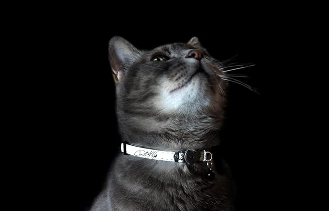 Rogz Glow in the Dark Reflective Cat Collar - Image 2