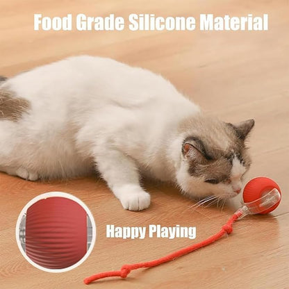 Valentines Day Gifts 2025 New Electric Dog Ball Toy, Electric Ball Dog Toy - Image 4