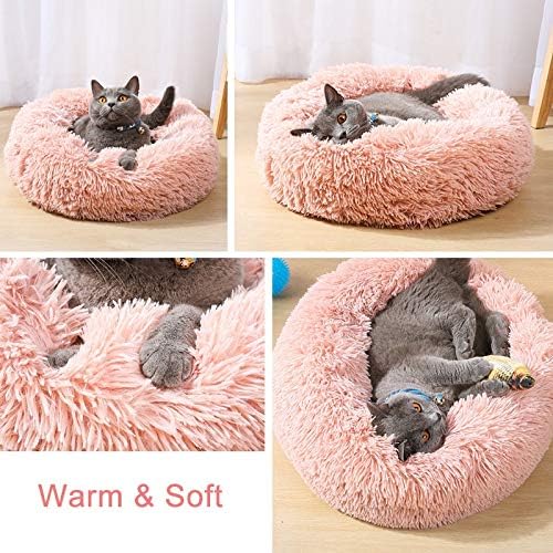 Large Cat Beds for Indoor Cats - Image 4