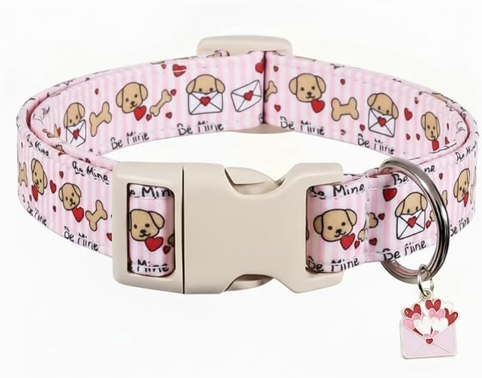 Pink Dog Collar, Girl Dog Collar by Britwicfr