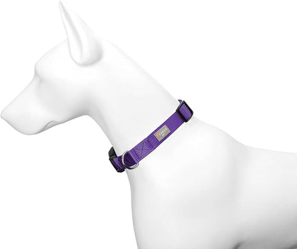 Purple Dog Collar Basic Adjustable Dog Collars - Image 4