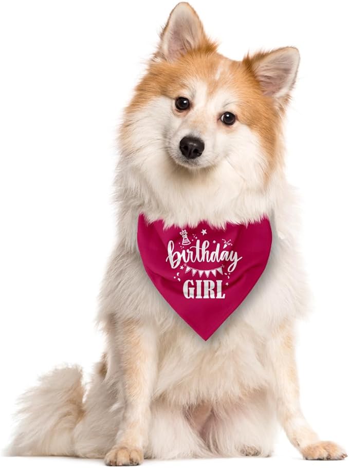 Birthday Girl Dog Bandana, Deep Pink Dog Bandana, Funny Cute Dog Bandana - Image 2