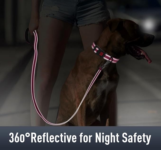 Airtag Dog Collar with AirTag Holder - Image 4