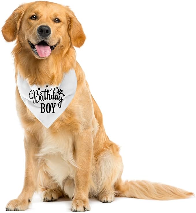 Happy Birthday Dog Bandana, Dog Bandana - Image 4