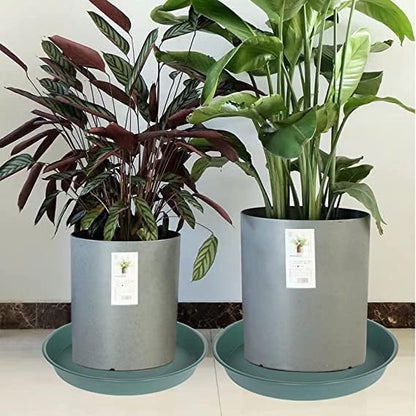6 Pack of 10 inch Plant Saucer Bird Bath Bowl, Heavy Duty Plastic Plant Saucer - Image 5