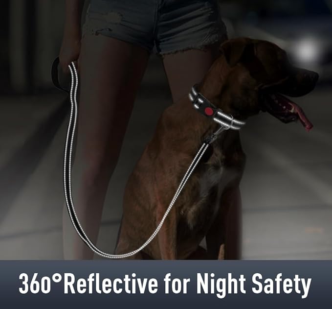 Airtag Dog Collar with AirTag Holder - Image 4