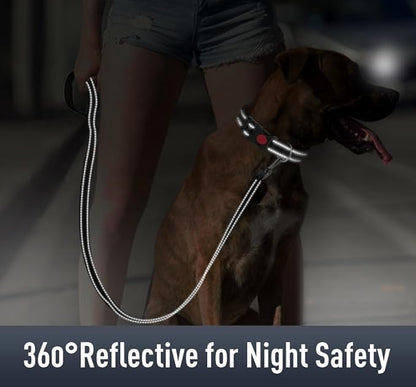 Airtag Dog Collar with AirTag Holder - Image 4