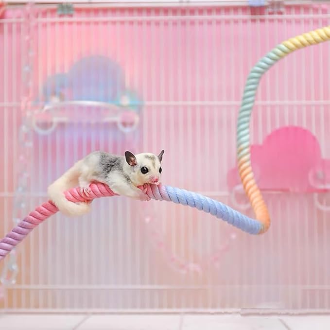 Gradient Colorful Bird Rope Perch Stand - Image 3