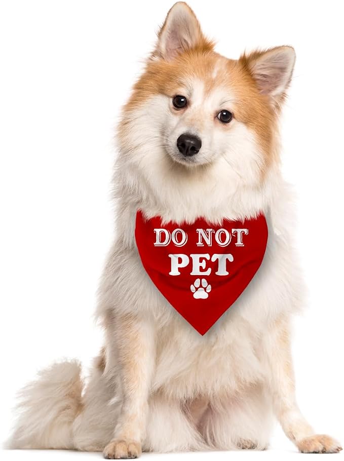 Do Not Pet Dog Bandana - Image 2