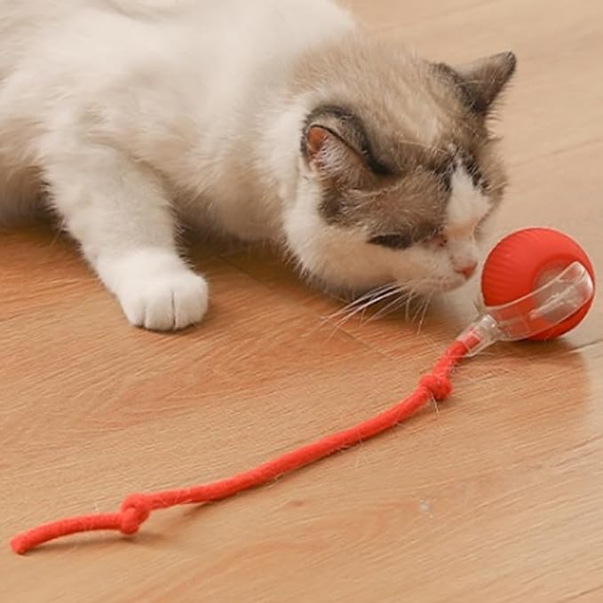 Cat Toy Ball with Tail Rope, Smart Rolling Ball, LED Light, Electric by Unknown