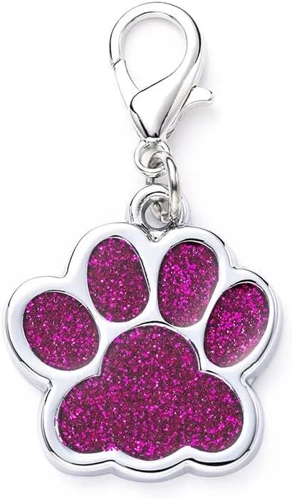Cute Personalized Pet Name Tags by COOLLIANT
