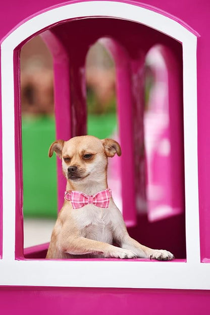 Lionheart glory Pink Plaid Dog Collar, Adjustable Dog Collar - Image 5