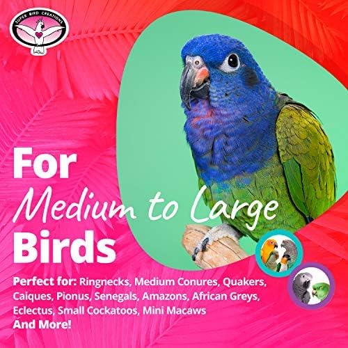 Super Bird Creations SB1058 Sneakers Bird Foot Toy - Image 3