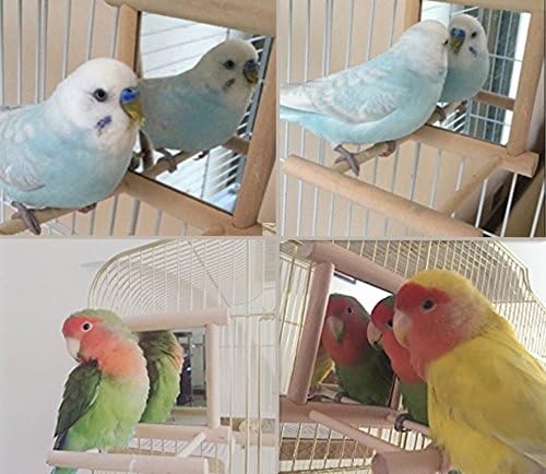 Hypeety Bird Parrot Mirror Toy Swing Hanging - Image 7