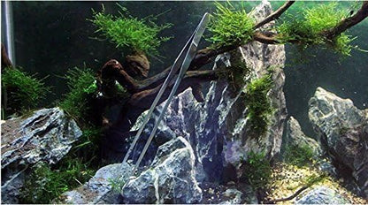 Co-link 3 in 1 Stainless Steel Aquarium Tank Aquatic Plant Tweezers Scissors - Image 7