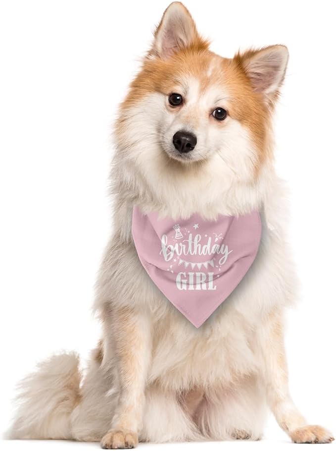 Birthday Girl Dog Bandana - Image 2