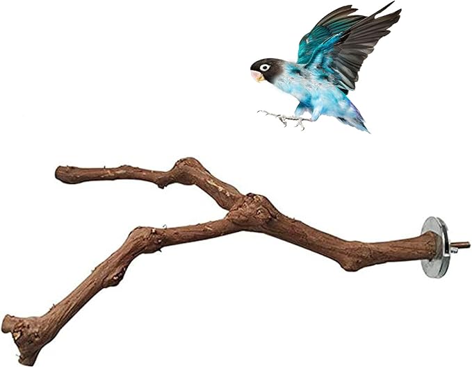 PINVNBY Parrot Perches Natural Birds Stand Wild Grape Stick Grinding Paw by PINVNBY