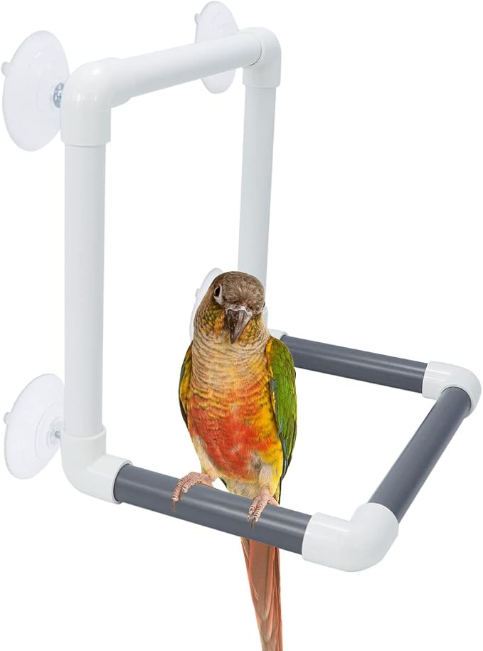 Bird Portable Suction Cup Shower Perch Parrot Window Wall Standing Platform - Image 5