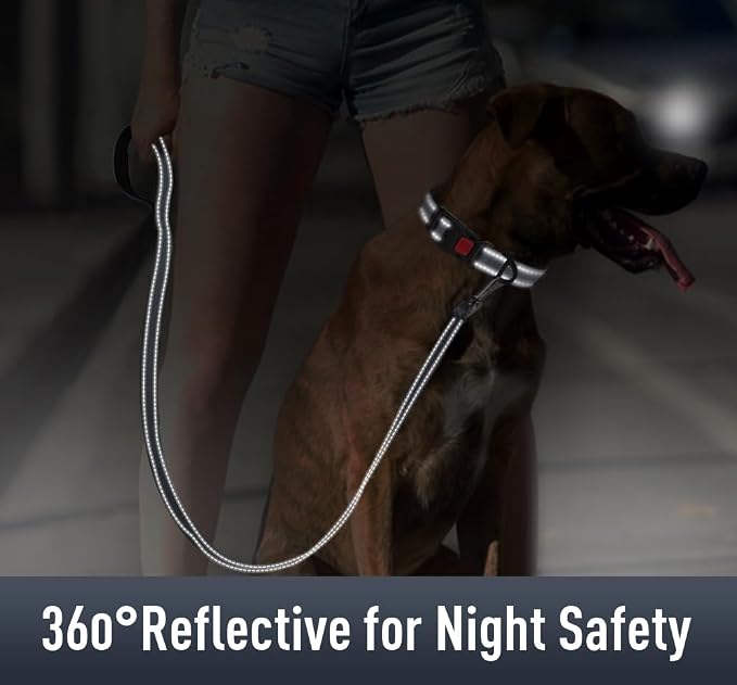 Airtag Dog Collar with AirTag Holder - Image 4