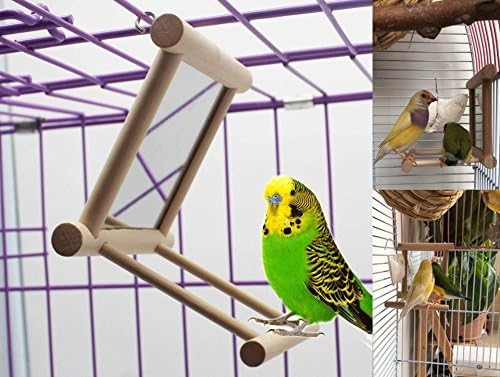 Hypeety Bird Parrot Mirror Toy Swing Hanging - Image 6