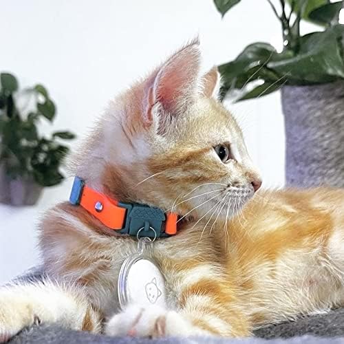 Kittyrama Tangerine Kitten Collar - Image 4