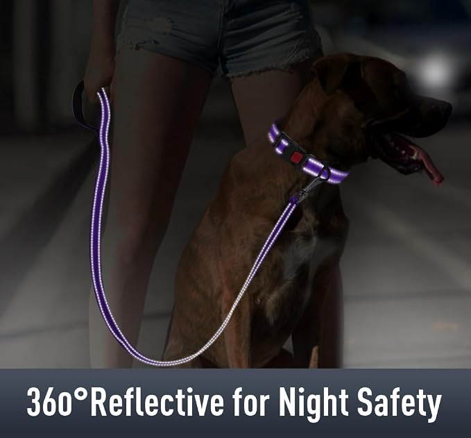 Airtag Dog Collar with AirTag Holder - Image 4