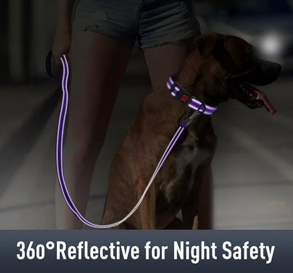 Airtag Dog Collar with AirTag Holder - Image 4