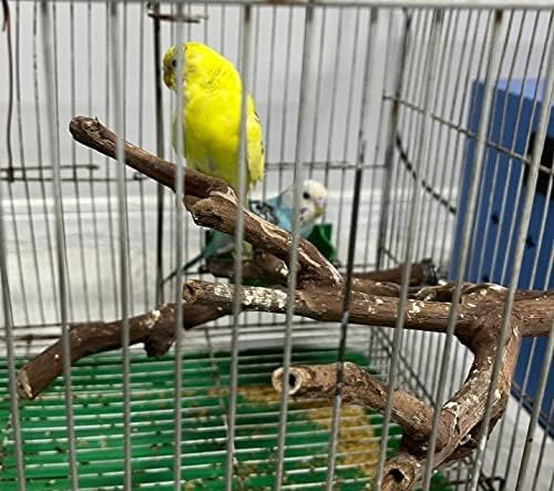 Bird perches Bird Perch Stand Perches - Image 2