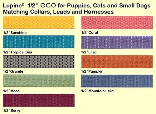 LupinePet Eco 1/2" Moss Cat Safety Collar - Image 2