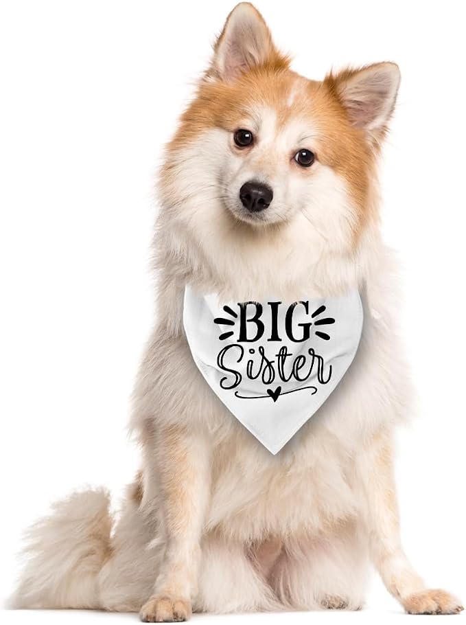 Big Sister Dog Bandana, Pet Bandana - Image 2