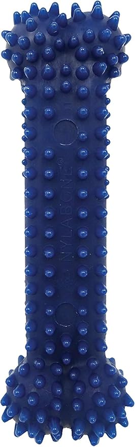 Nylabone Textured Dental Bone Flexi Chew Toy - Image 4