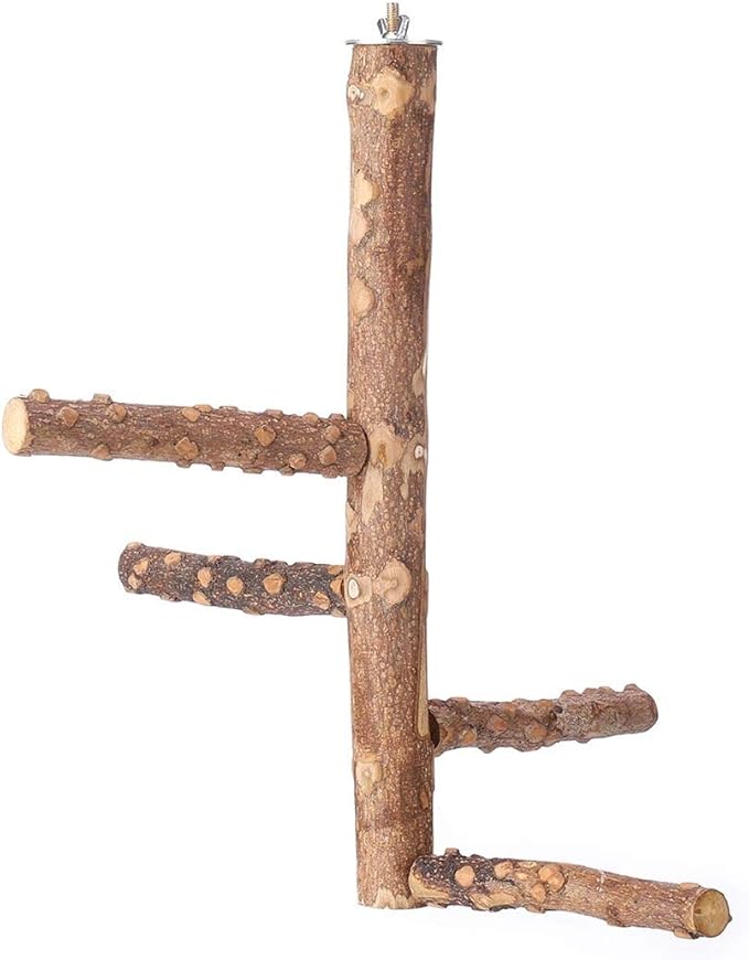 Bird Perch Nature Wood Stand for 3-4pcs Small Medium Parrots by KINTOR