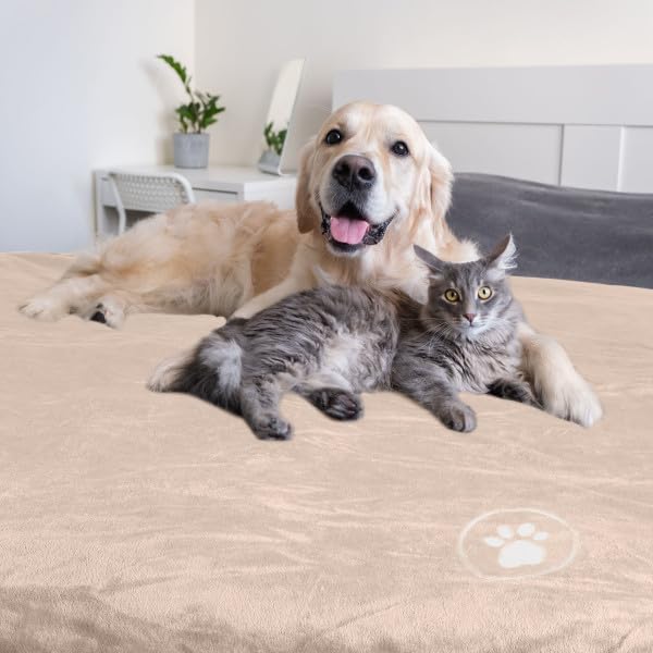 Waterproof Blanket for Dogs and Cats - Image 8