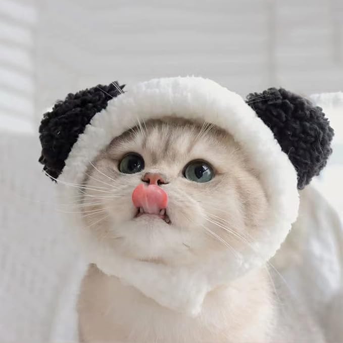 JOICEE Cute Cat Costume - Image 8