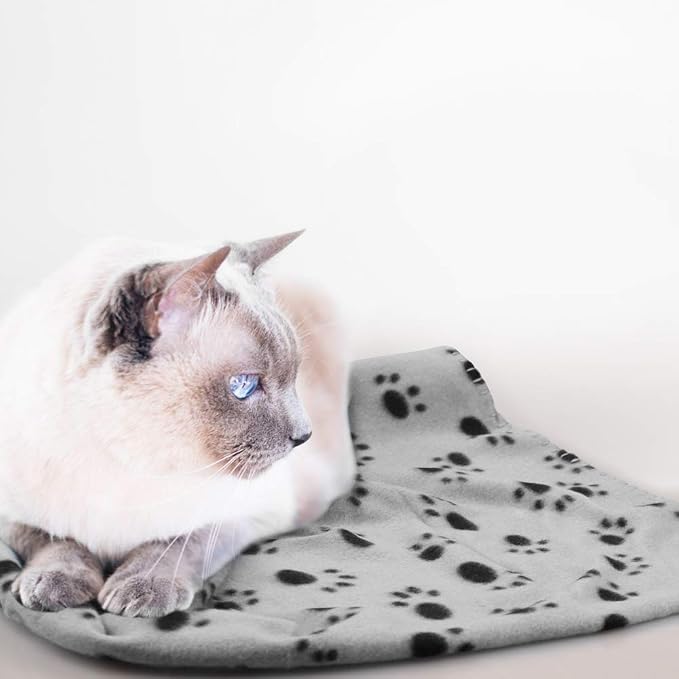 Comsmart Dog Blankets for Small Dogs, 6 Pack Puppy Blanket Cute Paw Print Pet - Image 6