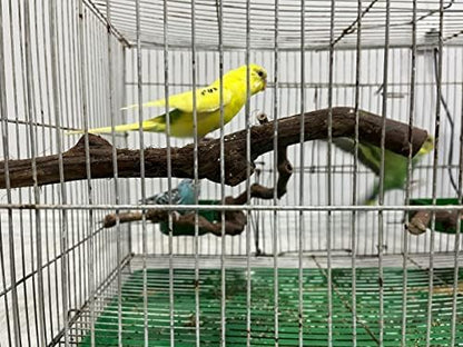 Bird perches Bird Perch Stand Perches - Image 3